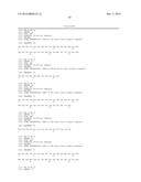 THERAPEUTIC DLL4 BINDING PROTEINS diagram and image