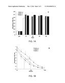 FGF MODULATION OF IN VIVO ANTIBODY PRODUCTION AND HUMORAL IMMUNITY diagram and image