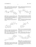 FGF MODULATION OF IN VIVO ANTIBODY PRODUCTION AND HUMORAL IMMUNITY diagram and image