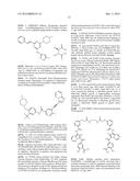 FGF MODULATION OF IN VIVO ANTIBODY PRODUCTION AND HUMORAL IMMUNITY diagram and image