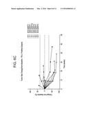 COMBINATION THERAPY FOR PD-L1 NEGATIVE TUMORS diagram and image