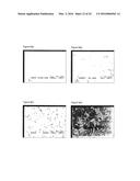 CHITOSAN-DERIVATIVE COMPOUNDS AND METHODS OF CONTROLLING MICROBIAL     POPULATIONS diagram and image