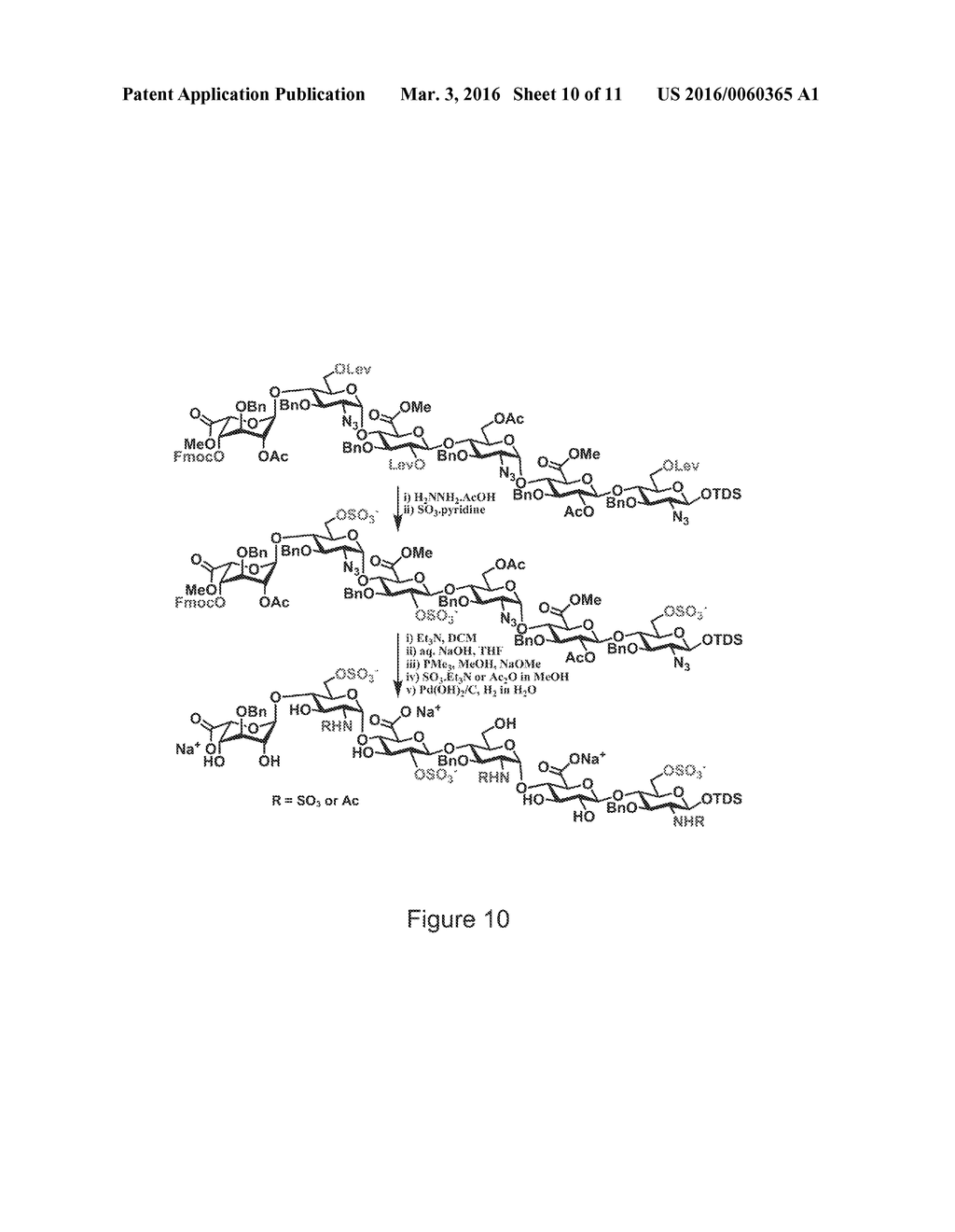 HEPARAN SULFATE SYNTHESIS - diagram, schematic, and image 11