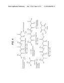 PROCESSING HYDROXY-CARBOXYLIC ACIDS TO POLYMERS diagram and image