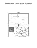 BIODEGRADABLE NETWORK POLYMERS FOR REGENERATIVE MEDICINE AND TISSUE     ENGINEERING diagram and image