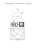 BIODEGRADABLE NETWORK POLYMERS FOR REGENERATIVE MEDICINE AND TISSUE     ENGINEERING diagram and image