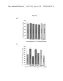 BIODEGRADABLE NETWORK POLYMERS FOR REGENERATIVE MEDICINE AND TISSUE     ENGINEERING diagram and image