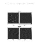 COMPOSITION FOR THE PREPARATION OF A NANOSTRUCTURED BIODEGRADABLE     POLYMERIC MATERIAL, THE MATERIAL OBTAINED AND ITS APPLICATIONS diagram and image