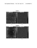 COMPOSITION FOR THE PREPARATION OF A NANOSTRUCTURED BIODEGRADABLE     POLYMERIC MATERIAL, THE MATERIAL OBTAINED AND ITS APPLICATIONS diagram and image