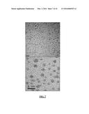 Patterned Liquid Crystal Alignment Using Ink-Jet Printed Nanoparticles and     Use Thereof to Produce Patterned, Electro-Optically Addressable Devices;     Ink-Jet Printable Compositions diagram and image