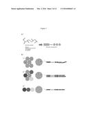 DIGITAL PCR BARCODING diagram and image