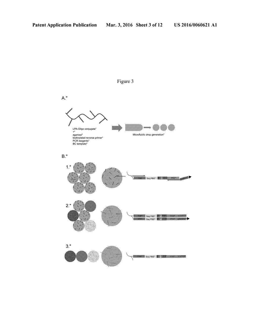 DIGITAL PCR BARCODING - diagram, schematic, and image 04