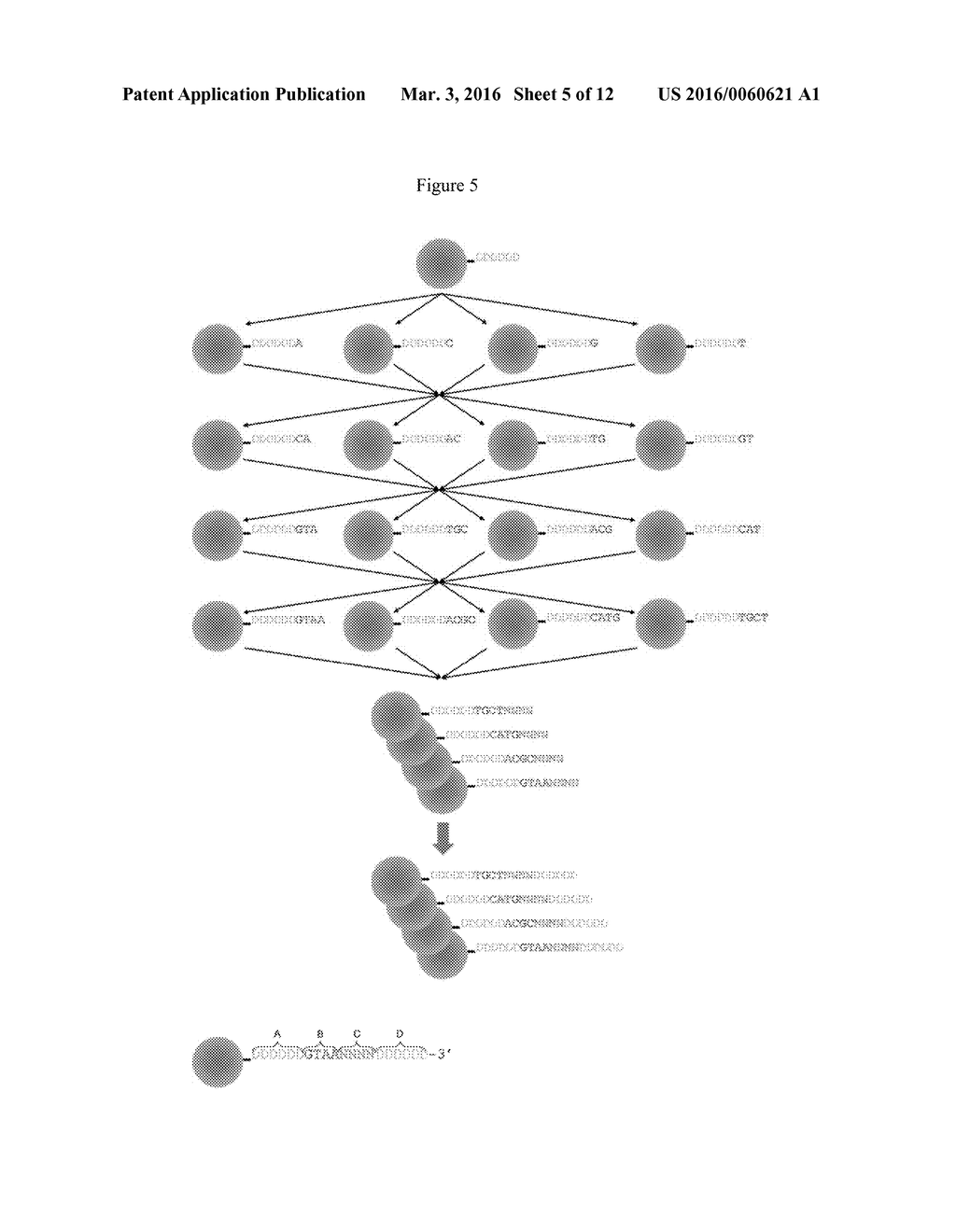 DIGITAL PCR BARCODING - diagram, schematic, and image 06