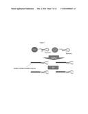 DIGITAL PCR BARCODING diagram and image