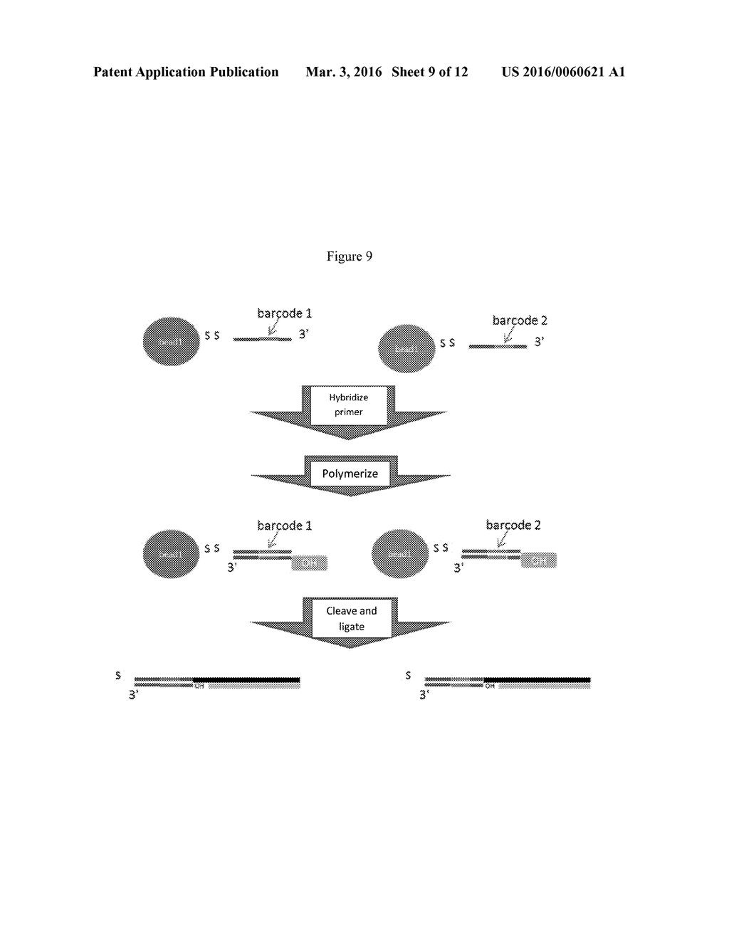 DIGITAL PCR BARCODING - diagram, schematic, and image 10