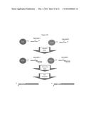 DIGITAL PCR BARCODING diagram and image