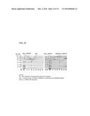 Coryneform Bacterium and Method for Producing Heterologous Fusion Proteins diagram and image