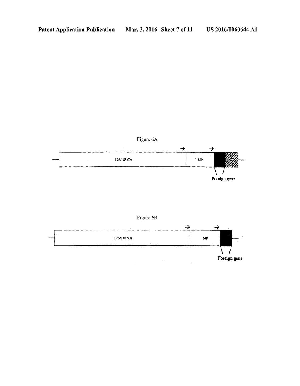 SYSTEM FOR EXPRESSION OF GENES IN PLANTS - diagram, schematic, and image 08