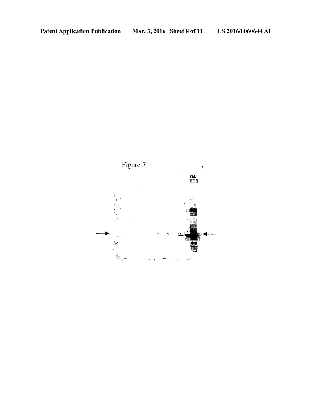 SYSTEM FOR EXPRESSION OF GENES IN PLANTS - diagram, schematic, and image 09