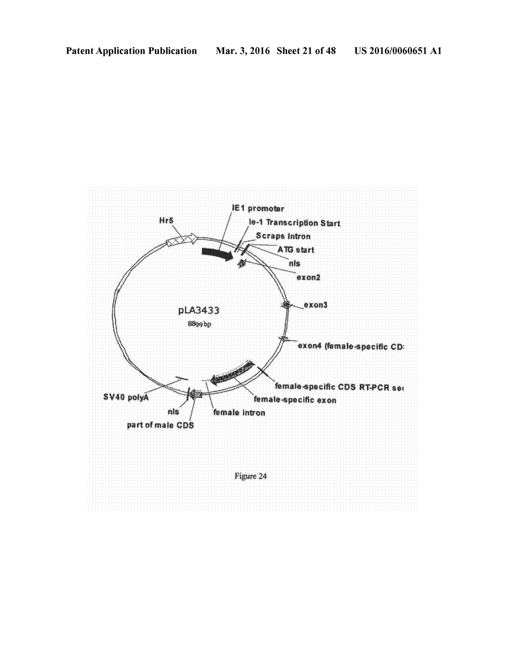 EXPRESSION SYSTEMS - diagram, schematic, and image 22