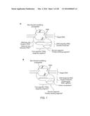 METHODS AND COMPOSITIONS FOR RNA-DIRECTED TARGET DNA MODIFICATION AND FOR     RNA-DIRECTED MODULATION OF TRANSCRIPTION diagram and image