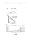 METHODS AND COMPOSITIONS FOR RNA-DIRECTED TARGET DNA MODIFICATION AND FOR     RNA-DIRECTED MODULATION OF TRANSCRIPTION diagram and image