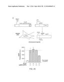 METHODS AND COMPOSITIONS FOR RNA-DIRECTED TARGET DNA MODIFICATION AND FOR     RNA-DIRECTED MODULATION OF TRANSCRIPTION diagram and image