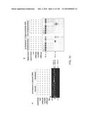 METHODS AND COMPOSITIONS FOR RNA-DIRECTED TARGET DNA MODIFICATION AND FOR     RNA-DIRECTED MODULATION OF TRANSCRIPTION diagram and image