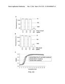 METHODS AND COMPOSITIONS FOR RNA-DIRECTED TARGET DNA MODIFICATION AND FOR     RNA-DIRECTED MODULATION OF TRANSCRIPTION diagram and image