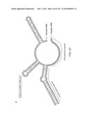 METHODS AND COMPOSITIONS FOR RNA-DIRECTED TARGET DNA MODIFICATION AND FOR     RNA-DIRECTED MODULATION OF TRANSCRIPTION diagram and image