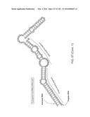 METHODS AND COMPOSITIONS FOR RNA-DIRECTED TARGET DNA MODIFICATION AND FOR     RNA-DIRECTED MODULATION OF TRANSCRIPTION diagram and image