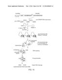 METHODS AND COMPOSITIONS FOR RNA-DIRECTED TARGET DNA MODIFICATION AND FOR     RNA-DIRECTED MODULATION OF TRANSCRIPTION diagram and image