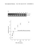 METHODS AND COMPOSITIONS FOR RNA-DIRECTED TARGET DNA MODIFICATION AND FOR     RNA-DIRECTED MODULATION OF TRANSCRIPTION diagram and image