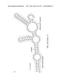 METHODS AND COMPOSITIONS FOR RNA-DIRECTED TARGET DNA MODIFICATION AND FOR     RNA-DIRECTED MODULATION OF TRANSCRIPTION diagram and image