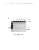 METHODS AND COMPOSITIONS FOR RNA-DIRECTED TARGET DNA MODIFICATION AND FOR     RNA-DIRECTED MODULATION OF TRANSCRIPTION diagram and image