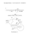 METHODS AND COMPOSITIONS FOR RNA-DIRECTED TARGET DNA MODIFICATION AND FOR     RNA-DIRECTED MODULATION OF TRANSCRIPTION diagram and image