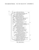 METHODS AND COMPOSITIONS FOR RNA-DIRECTED TARGET DNA MODIFICATION AND FOR     RNA-DIRECTED MODULATION OF TRANSCRIPTION diagram and image