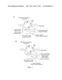 METHODS AND COMPOSITIONS FOR RNA-DIRECTED TARGET DNA MODIFICATION AND FOR     RNA-DIRECTED MODULATION OF TRANSCRIPTION diagram and image