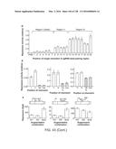 METHODS AND COMPOSITIONS FOR RNA-DIRECTED TARGET DNA MODIFICATION AND FOR     RNA-DIRECTED MODULATION OF TRANSCRIPTION diagram and image