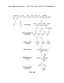 METHODS AND COMPOSITIONS FOR RNA-DIRECTED TARGET DNA MODIFICATION AND FOR     RNA-DIRECTED MODULATION OF TRANSCRIPTION diagram and image