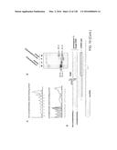 METHODS AND COMPOSITIONS FOR RNA-DIRECTED TARGET DNA MODIFICATION AND FOR     RNA-DIRECTED MODULATION OF TRANSCRIPTION diagram and image