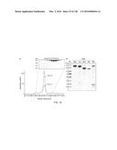 METHODS AND COMPOSITIONS FOR RNA-DIRECTED TARGET DNA MODIFICATION AND FOR     RNA-DIRECTED MODULATION OF TRANSCRIPTION diagram and image