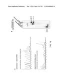 METHODS AND COMPOSITIONS FOR RNA-DIRECTED TARGET DNA MODIFICATION AND FOR     RNA-DIRECTED MODULATION OF TRANSCRIPTION diagram and image