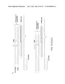 METHODS AND COMPOSITIONS FOR RNA-DIRECTED TARGET DNA MODIFICATION AND FOR     RNA-DIRECTED MODULATION OF TRANSCRIPTION diagram and image