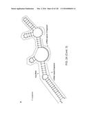 METHODS AND COMPOSITIONS FOR RNA-DIRECTED TARGET DNA MODIFICATION AND FOR     RNA-DIRECTED MODULATION OF TRANSCRIPTION diagram and image