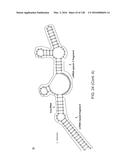 METHODS AND COMPOSITIONS FOR RNA-DIRECTED TARGET DNA MODIFICATION AND FOR     RNA-DIRECTED MODULATION OF TRANSCRIPTION diagram and image