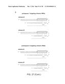 METHODS AND COMPOSITIONS FOR RNA-DIRECTED TARGET DNA MODIFICATION AND FOR     RNA-DIRECTED MODULATION OF TRANSCRIPTION diagram and image