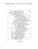 METHODS AND COMPOSITIONS FOR RNA-DIRECTED TARGET DNA MODIFICATION AND FOR     RNA-DIRECTED MODULATION OF TRANSCRIPTION diagram and image