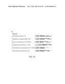 METHODS AND COMPOSITIONS FOR RNA-DIRECTED TARGET DNA MODIFICATION AND FOR     RNA-DIRECTED MODULATION OF TRANSCRIPTION diagram and image