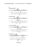 METHODS AND COMPOSITIONS FOR RNA-DIRECTED TARGET DNA MODIFICATION AND FOR     RNA-DIRECTED MODULATION OF TRANSCRIPTION diagram and image